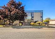 Thumbnail 2 of 7 - A tree with red leaves is in front of a building with a glass facade.