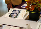Thumbnail 9 of 16 - A potted plant with red and green leaves sits on a table with brochures.