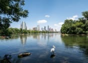 Thumbnail 13 of 13 - View of Ladybird Lake and downtown Austin at Douglas Landing Apartment Homes, Texas, 78741
