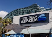 Thumbnail 31 of 35 - The Florida Aquarium is one of many attractions just steps from our community.