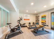 Thumbnail 10 of 16 - Fitness Center