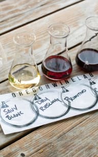 a tasting strip with glasses of wine on a wooden table