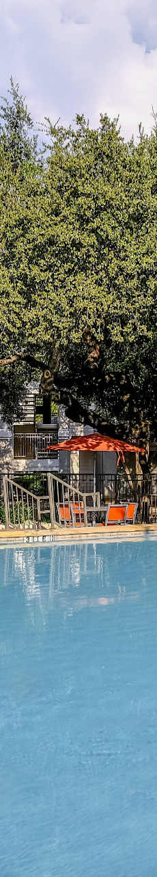 poolside chairs at San Marin