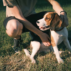 a woman and her dog laying on the grass