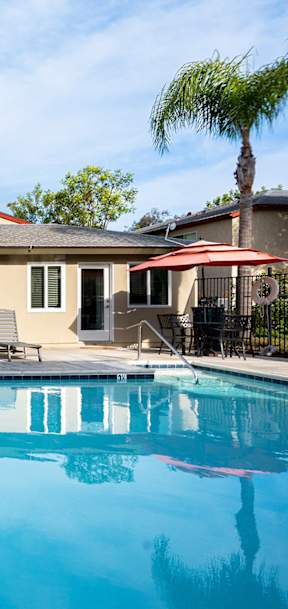 A pool in front of a house with a fence and palm tree.