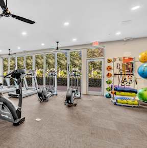 a gym with cardio equipment and weights