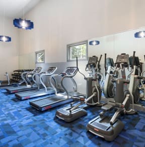 Alvista 23 Apartment Homes Fitness Center
