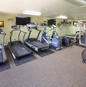 A gym with treadmills, elliptical machines, and a fan.
