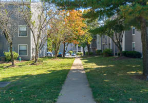 Walking Path through The Finn Community