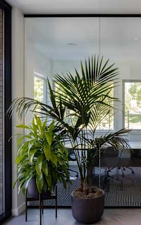 a dining room with a table and chairs and a palm tree