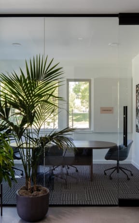 a dining room with a table and chairs and a palm tree