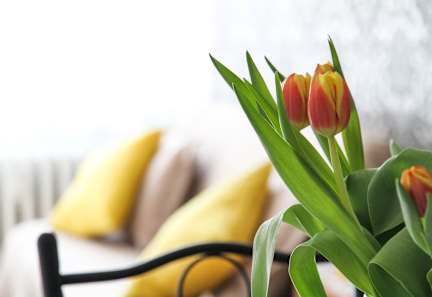 A bouquet of tulips sits on a chair with a yellow pillow.