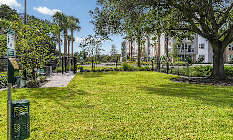Large Pet Park at Lyra Luxury Apartments Near Downtown Sarasota, FL