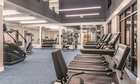 Apartments with a Gym at Lyra Luxury Apartments Near Downtown Sarasota, FL