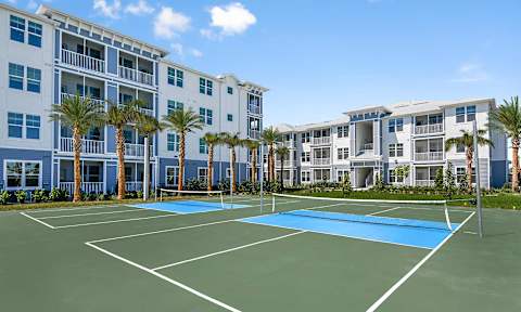 Apartments with Pickleball Courts at The Gallery Luxury Apartments in Trinity FL