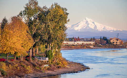 A tree-lined shore with a snow-capped mountain in the background.