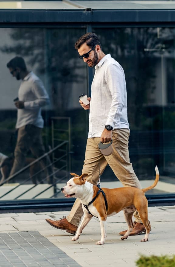 Man Wearing Sunglasses Walking Dog on Leash