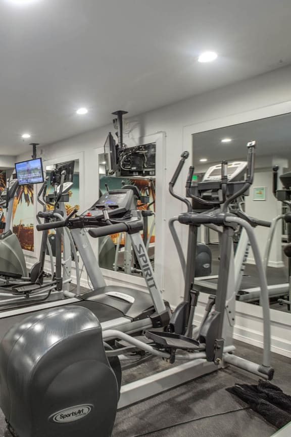a gym with weights and a wall mural of palm trees