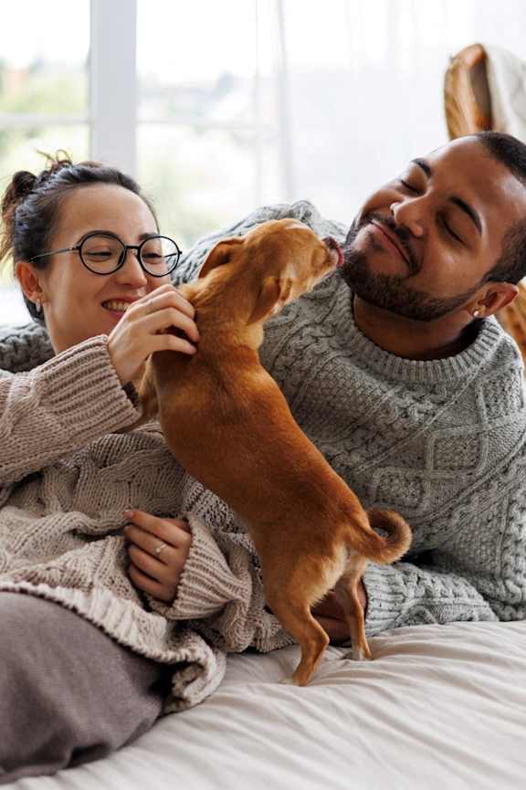 Man and Woman Laying on Bed Playing with Dog