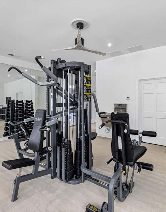 A gym with a variety of equipment including a treadmill, weights, and a bench press.