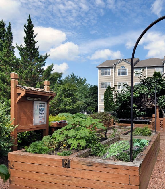 a community garden with a house in the background