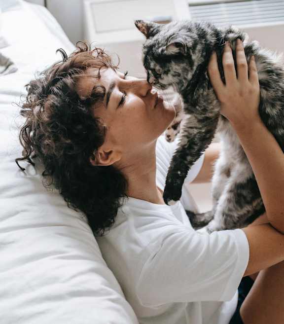 A person is lying on a bed with a grey cat.