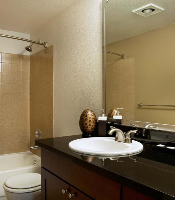 12 Central Square Bathroom with Bathtub