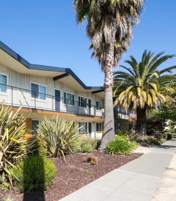 The Mark Apartments in Hayward, California Exterior