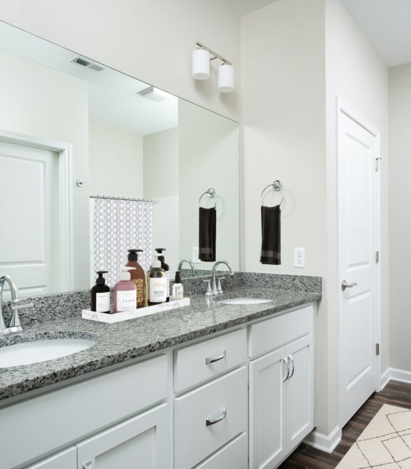 a bathroom with a large mirror and two sinks