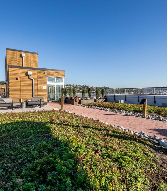 Koi Apartments in Ballard, Washington Rooftop Patio with Expansive Views at Koi Apartments, Seattle, Washington