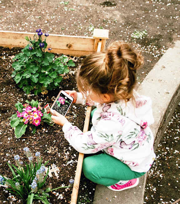 Small girl taking picture of flower at The Chapters , Ely, CB7 4DI