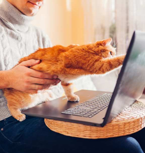 Man with Laptop on Lap and Holding Pet Cat