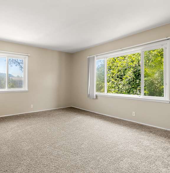 A room with two windows and carpeted floor.