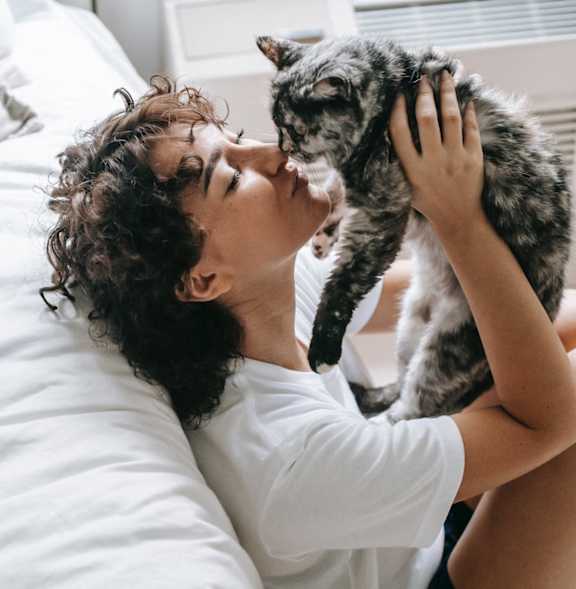 A person is lying on a bed with a grey cat.