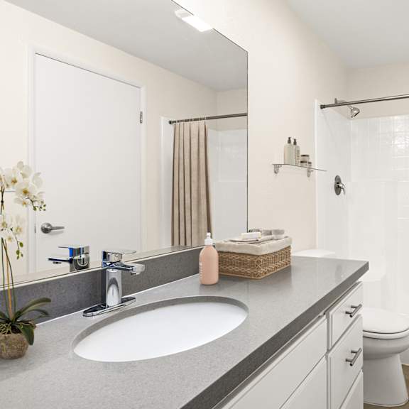 A bathroom with a sink, toilet, and shower.