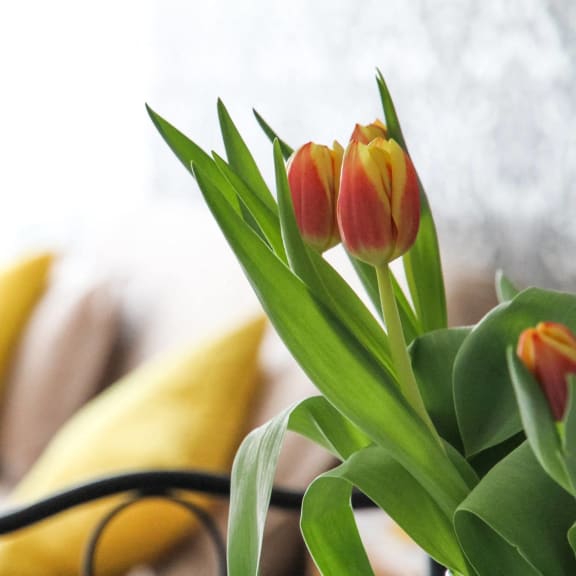 a bouquet of tulips on a table in a hotel room