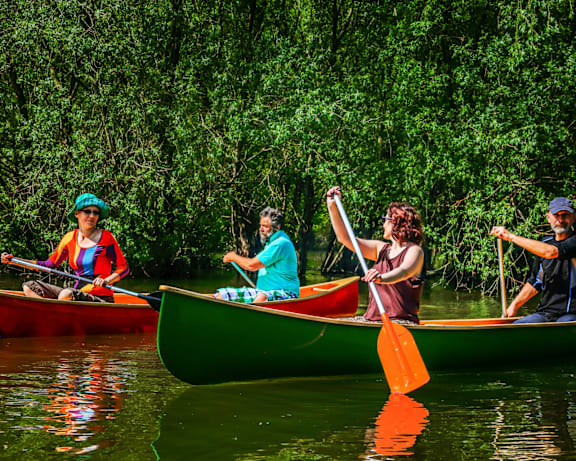 Four people paddle their canoes in a green forest.
