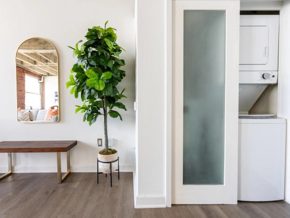 a living room with a table and a potted plant   and a kitchen