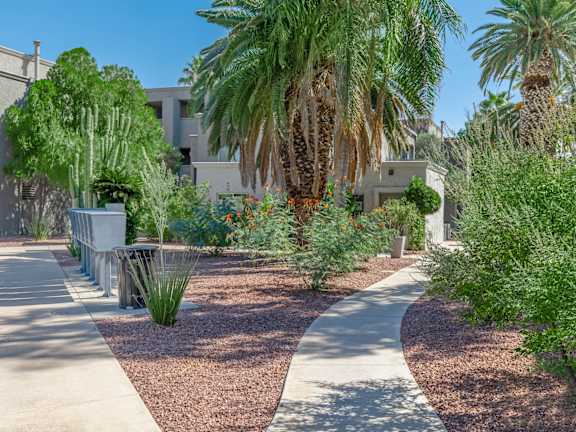 Marquee on 5th Apartments in Tucson, Arizona Exterior and Landscaping