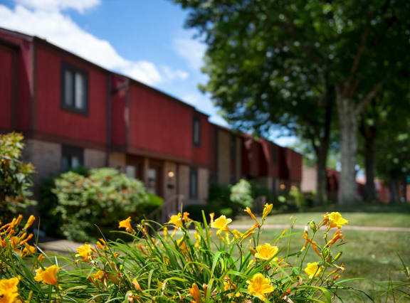 a grassy area with yellow flowers in the foreground and a red building in the background at Deauville Park Apartments, Monroeville, PA