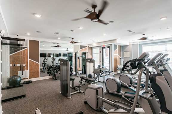 A gym with a variety of equipment including treadmills, stationary bikes, and weight machines.