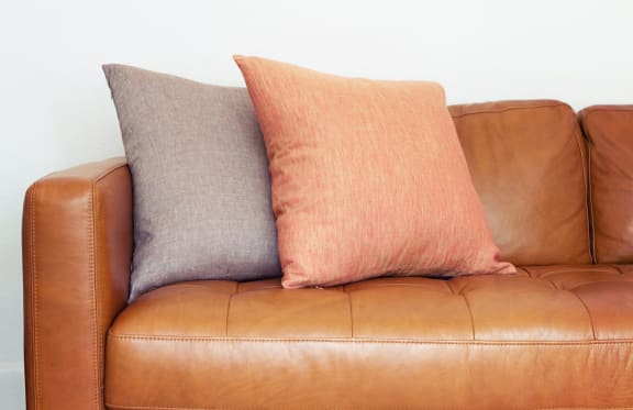 Two Pillows on Brown Leather Couch