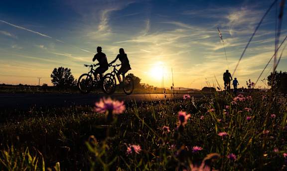 people riding bikes on the road at sunset