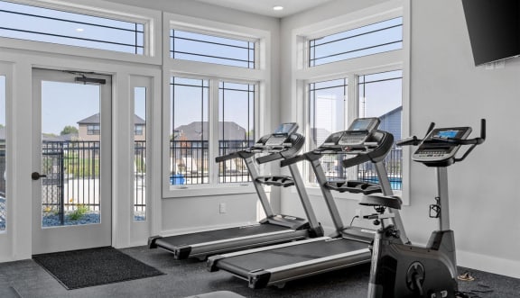 the gym has plenty of cardio equipment and large windows