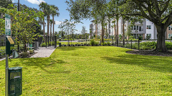 Apartments with a Dog Park at Lyra Luxury Apartments Near Downtown Sarasota, FL