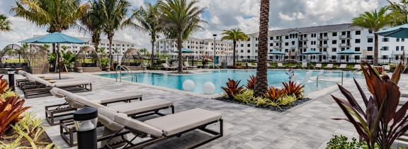 a swimming pool with chaise lounge chairs and palm trees at Edge75, Naples, FL, 34104