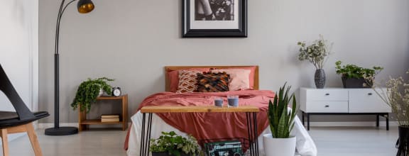 Bedroom plants red