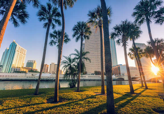 Palm trees line a park in front of a city skyline.