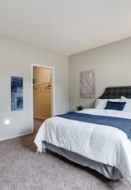 Carpeted Bedroom With Attached Walk-In Closet
