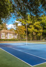 Volleyball Court at St. Johns Forest Apartments, 32277
